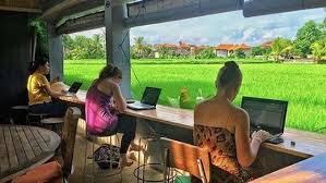 Tren Wisata Digital Nomad di Bali 2025: Antara Gaya Hidup dan Tantangan